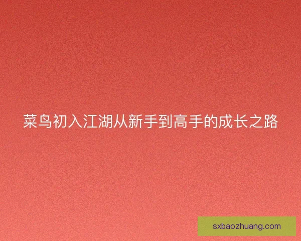 菜鸟初入江湖从新手到高手的成长之路