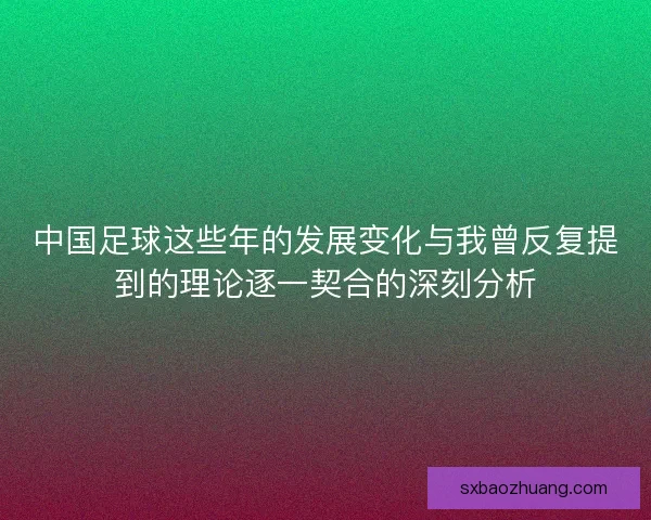 中国足球这些年的发展变化与我曾反复提到的理论逐一契合的深刻分析